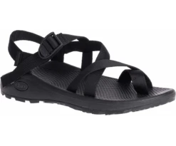 'Chaco' Men's ZCloud 2 Sandal - Black