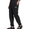 'The North Face' Men's Half Dome Sweatpants - TNF Black